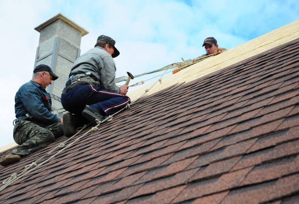 Best Local Roofing Companies  in Duncanville, TX